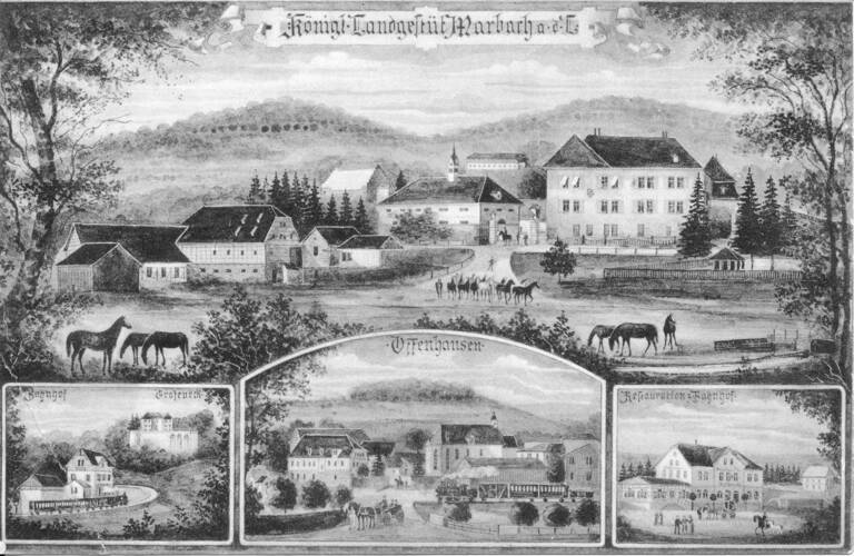 Historische illustrierte Ansichtskarte in Schwarz-weiß. Darauf abgebildet ist unter anderem das Königliche Landgestüt Marbach.
