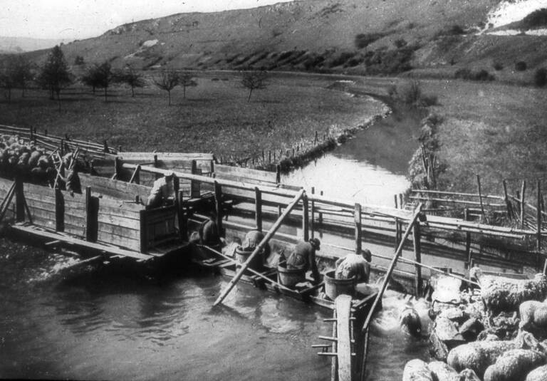 Historische Schwarzweißfotografie der Schafwäscher aus Gomadingen-Wasserstetten bei der Arbeit